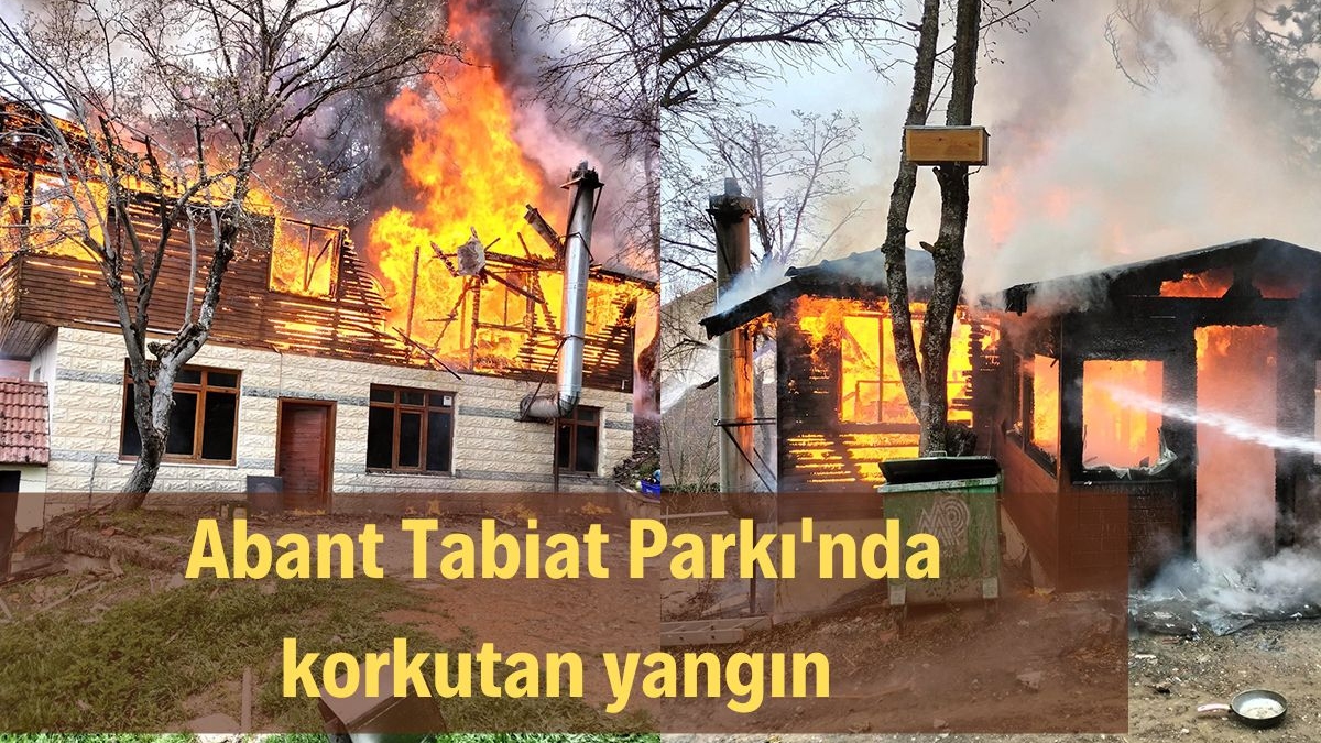 Abant Tabiat Parkı'nda Korkutan Yangın