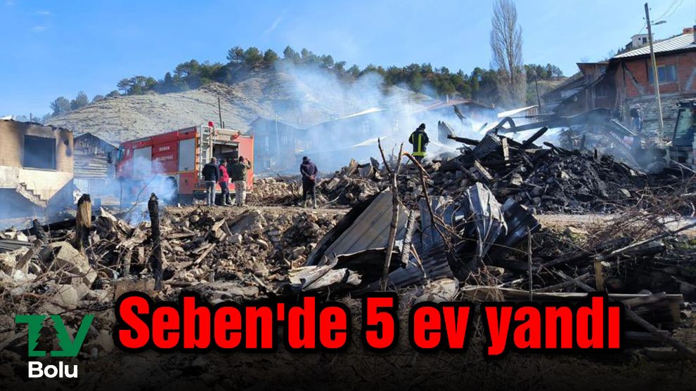 Seben'de 5 ev yandı