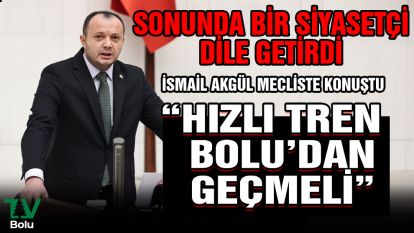 Sonunda bir siyasetçi dile getirdi...İsmail Akgül mecliste konuştu "Hızlı tren Bolu'dan geçmeli"