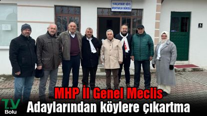 MHP İl Genel Meclis Adaylarından köylere çıkartma